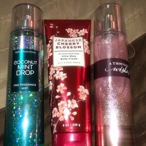 3 NEW Bath and Body Works items